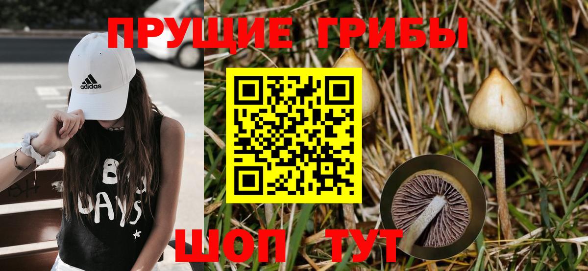 Псилоцибиновые грибы MAGIC MUSHROOMS  Вход с VPN  Шатура 